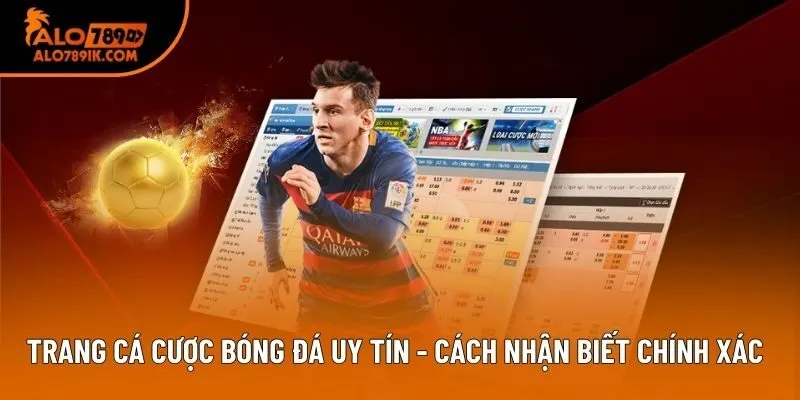 Trang Cá Cược Bóng Đá Uy Tín - Cách Nhận Biết Chính Xác